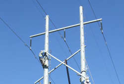 Postes em Fibra de Vidro para rede de Distribuição e Linhas de Transmissão 69-138kV